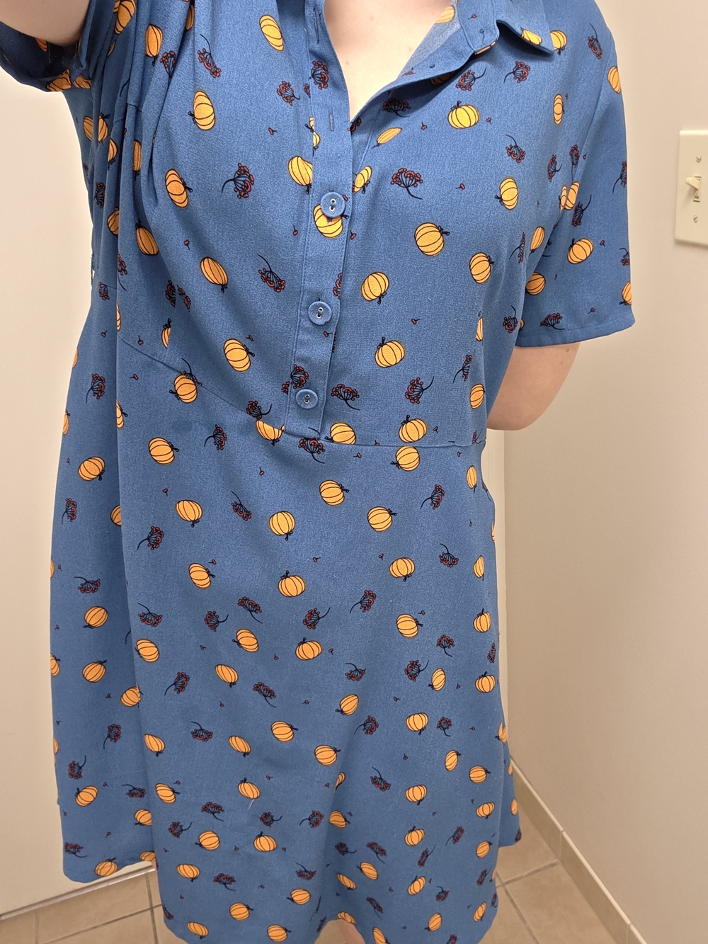 Blue Pumpkin Print Button-Front Dress - Picture 2 of 5